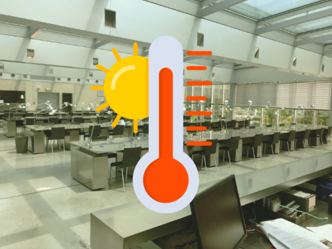 Visuel représentant la salle de lecture